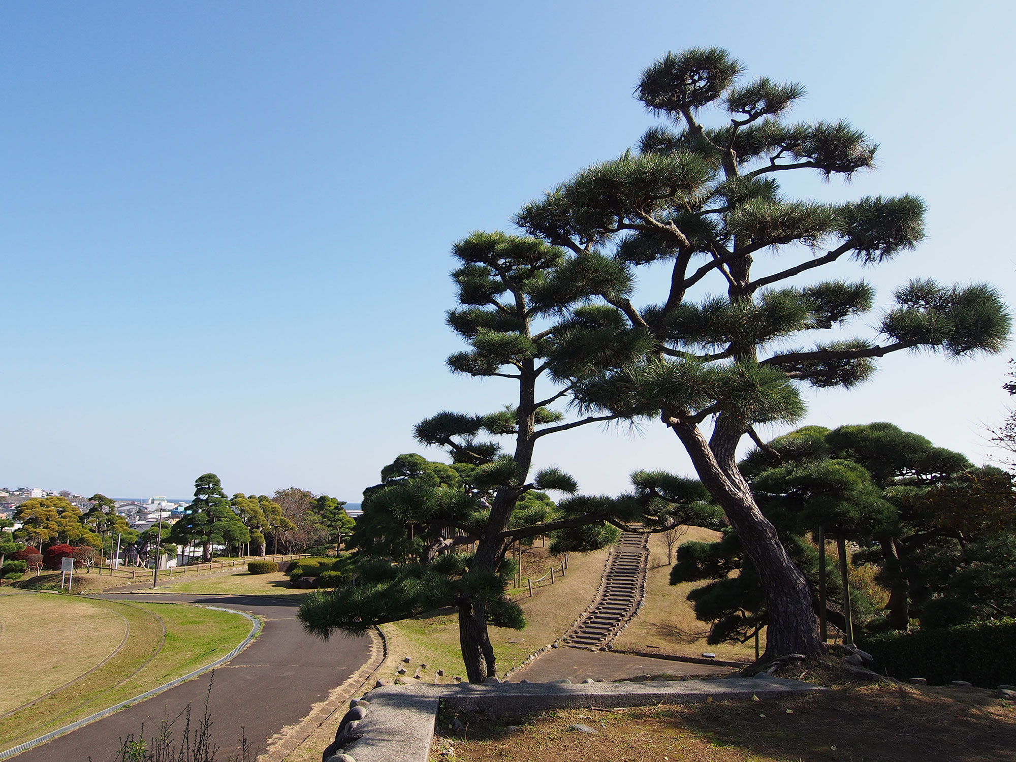 湊公園