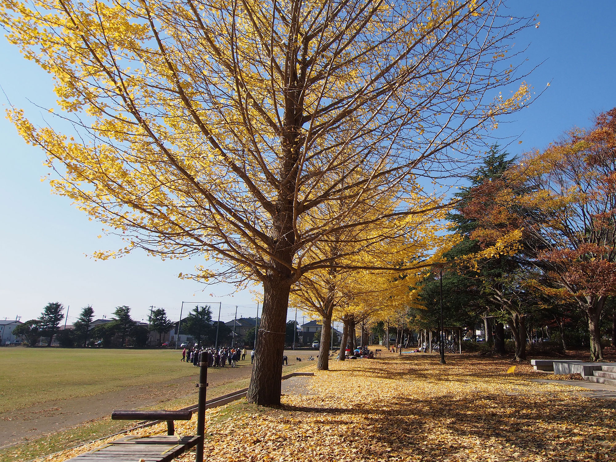 六ツ野公園