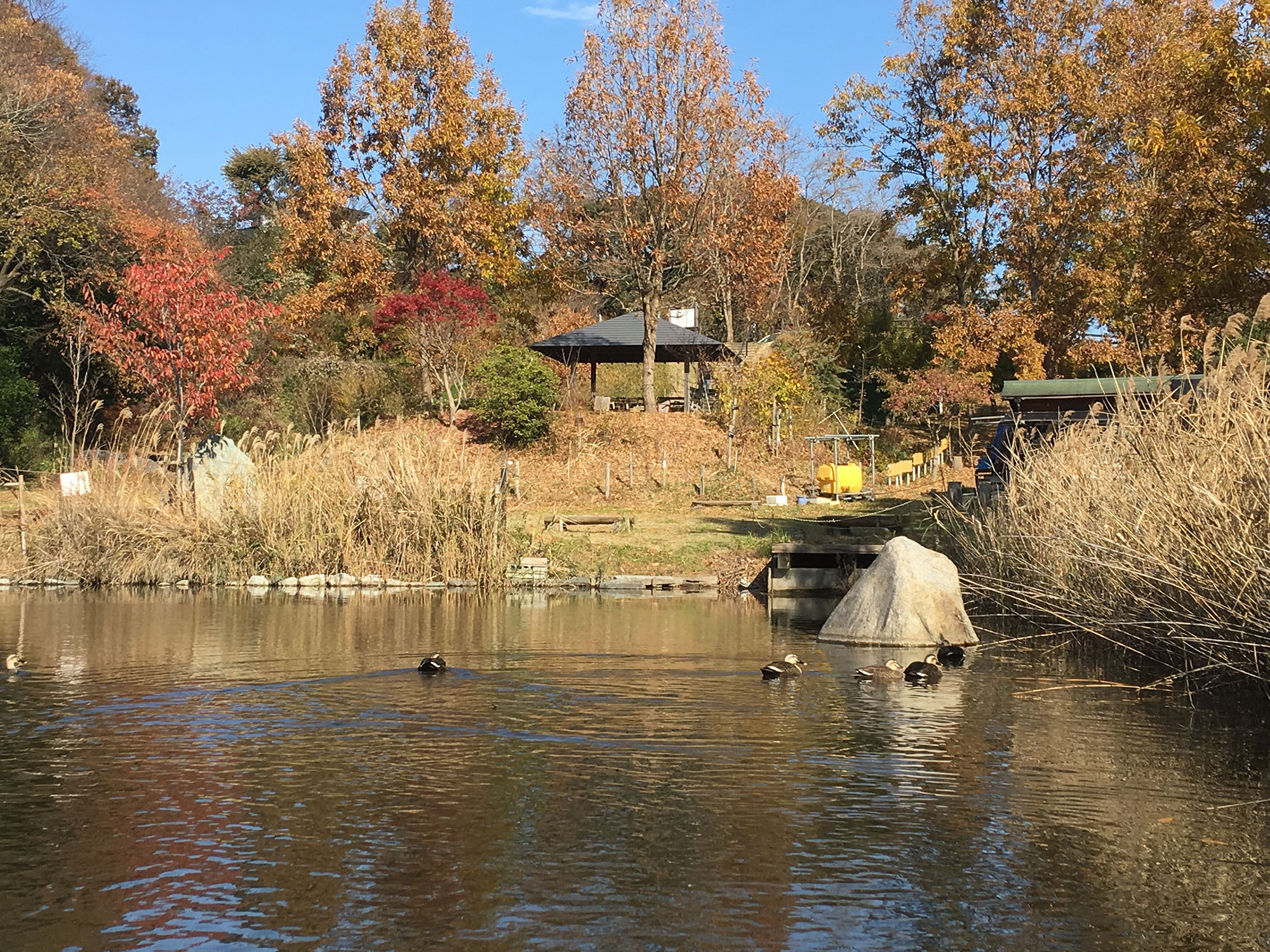 赤羽緑地「自然観察ふれあい公園」