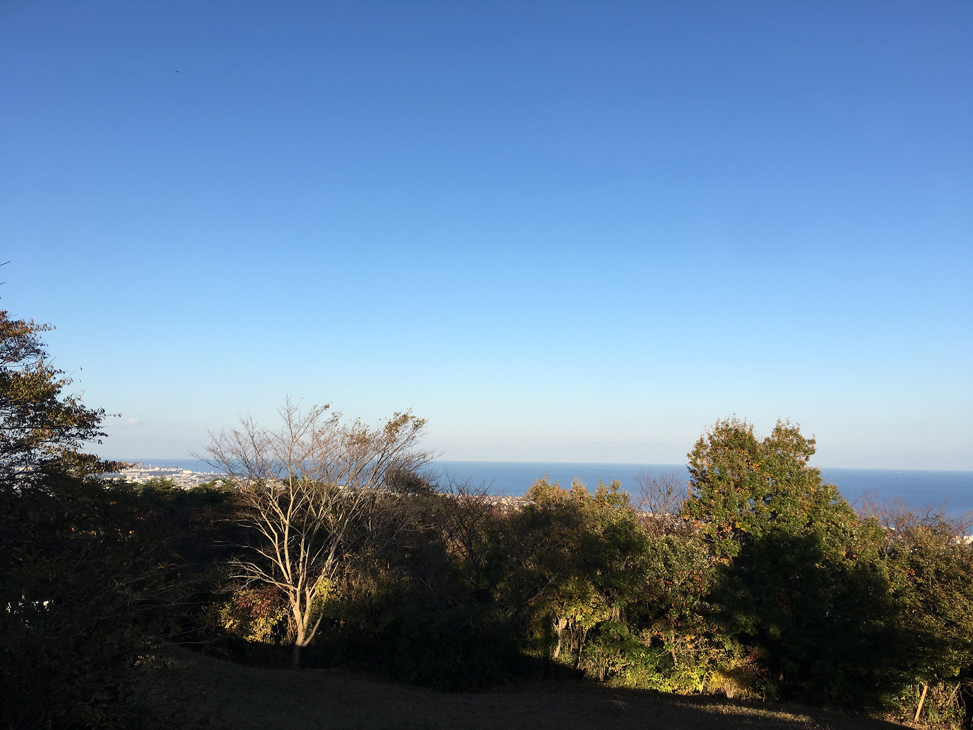 風神山自然公園