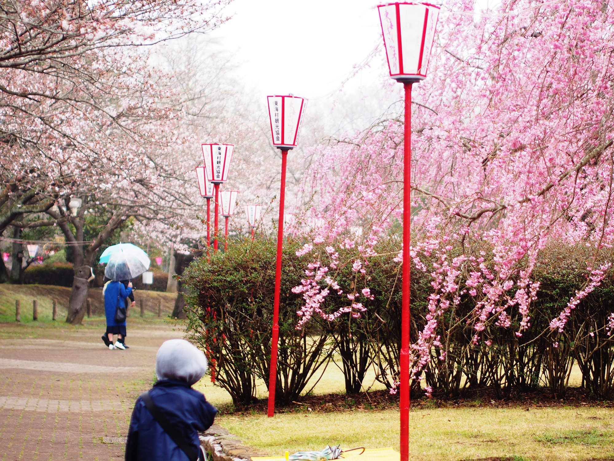 阿漕ヶ浦運動公園