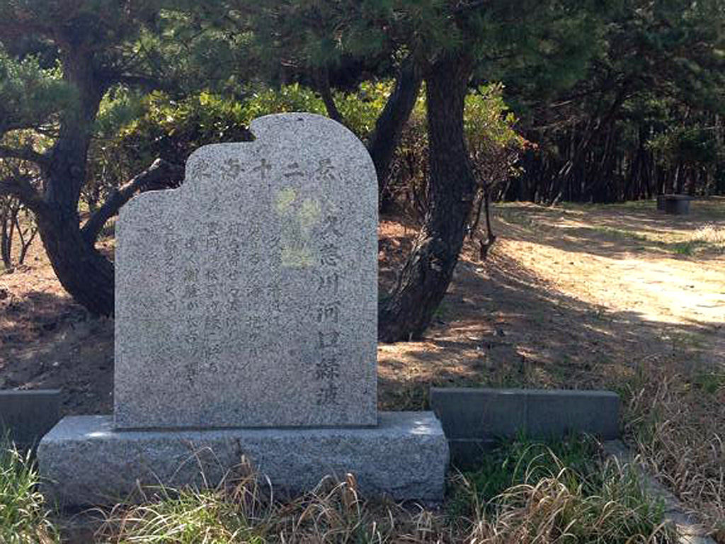 久慈川河口緑波 東海十二景